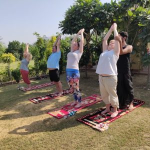 Yoga Tours in India, Yoga Retreat in India, Yoga Teacher Training in India, Yoga Teacher Training Courses in India